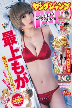 齐芳个人资料