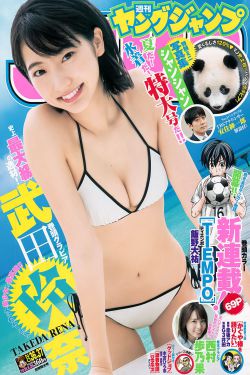 顾晓梦
